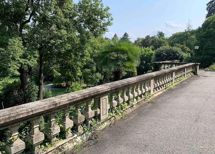 Bella Daire Lesa